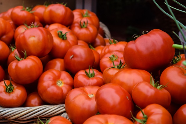 番茄成熟度的近紅外漫透射光譜無損檢測